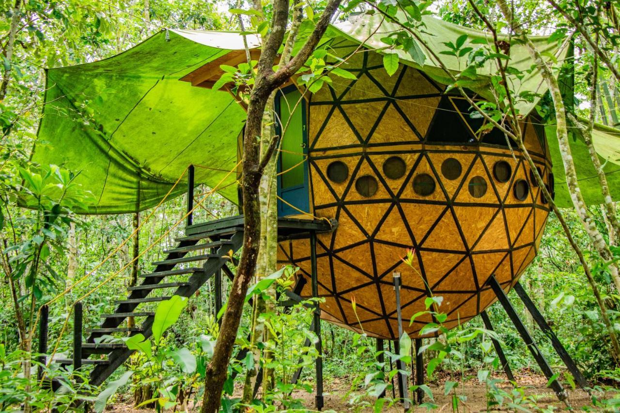 Hotel Ecologico Makalombia La Macarena Ngoại thất bức ảnh