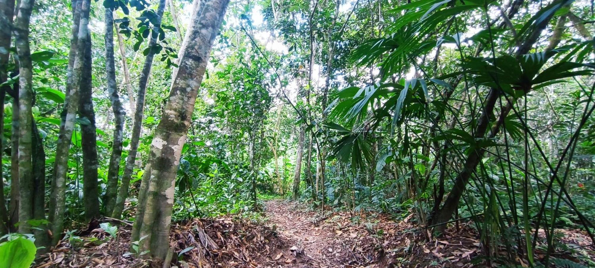 Hotel Ecologico Makalombia La Macarena Ngoại thất bức ảnh