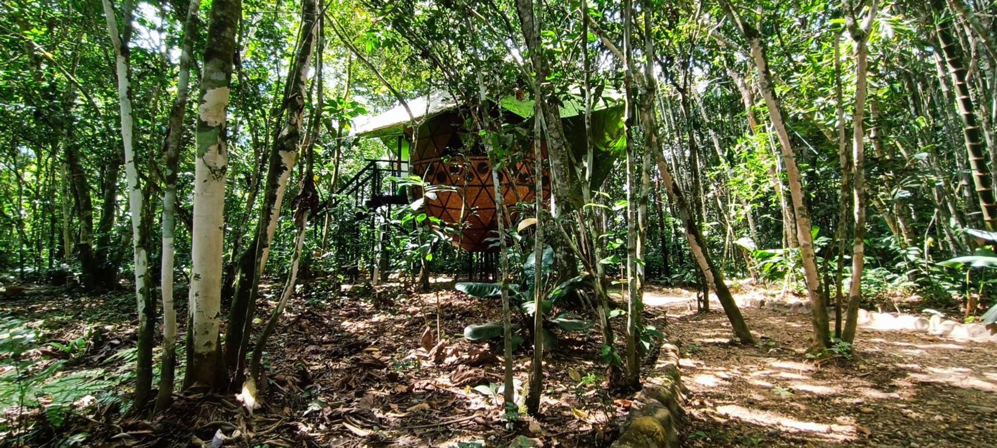 Hotel Ecologico Makalombia La Macarena Ngoại thất bức ảnh