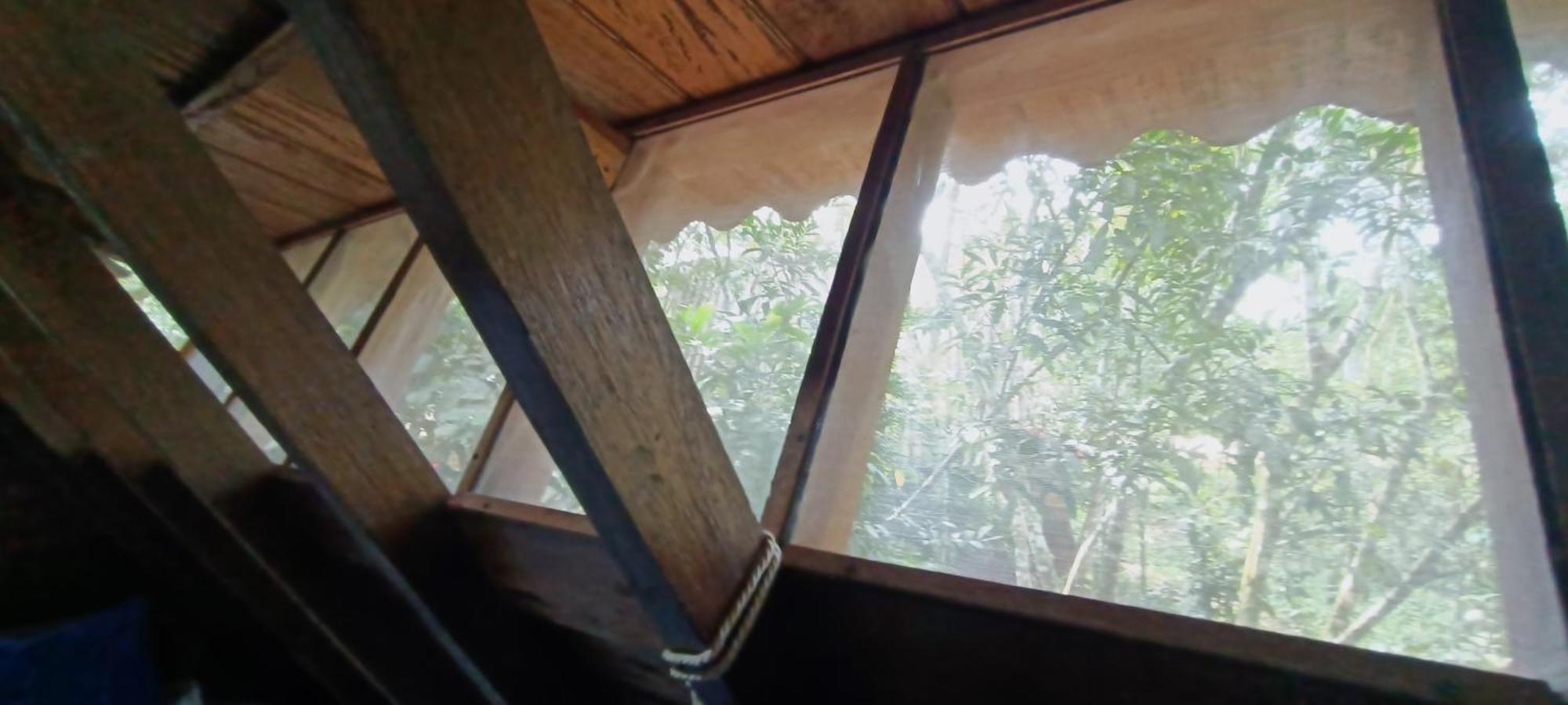 Hotel Ecologico Makalombia La Macarena Ngoại thất bức ảnh