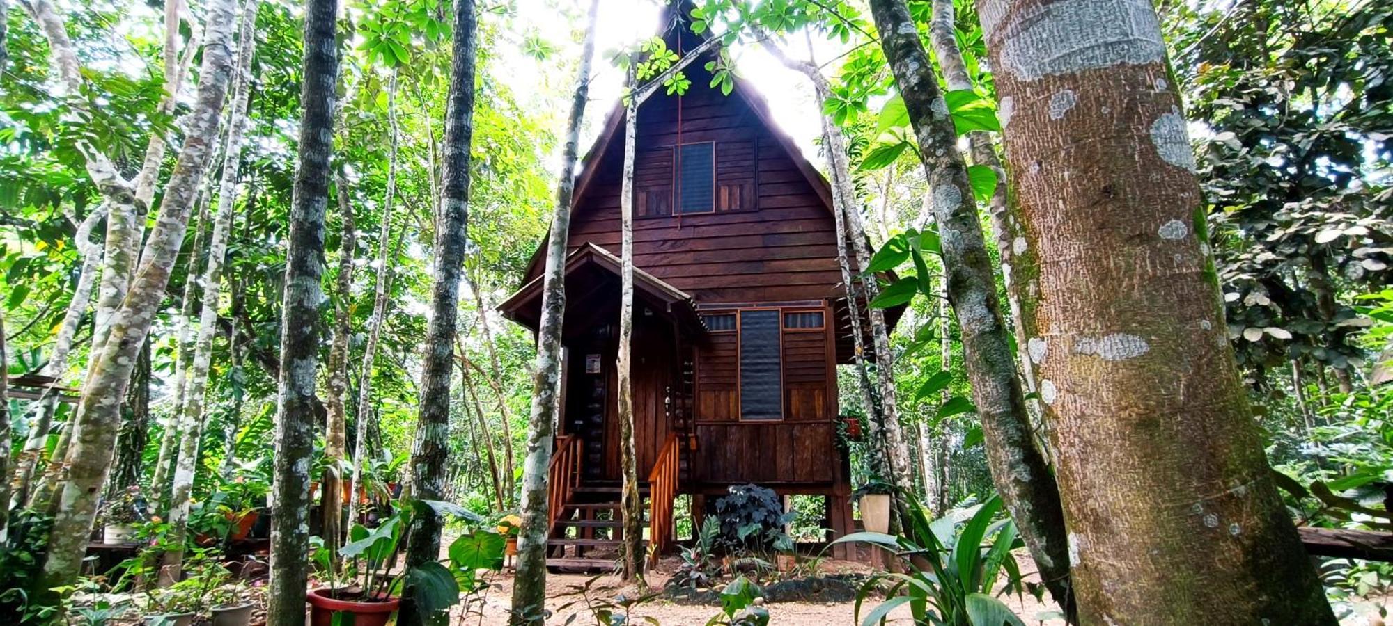 Hotel Ecologico Makalombia La Macarena Ngoại thất bức ảnh